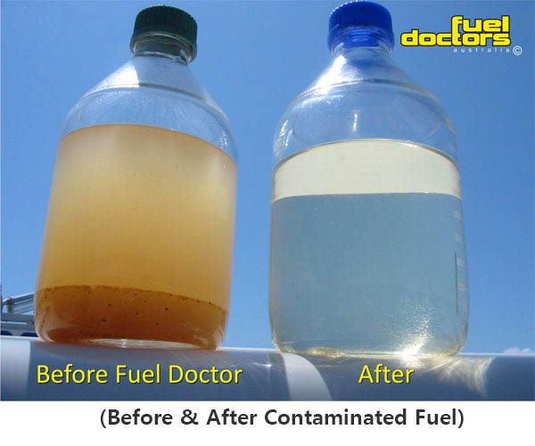 beforeafterlge_fuel_doctors